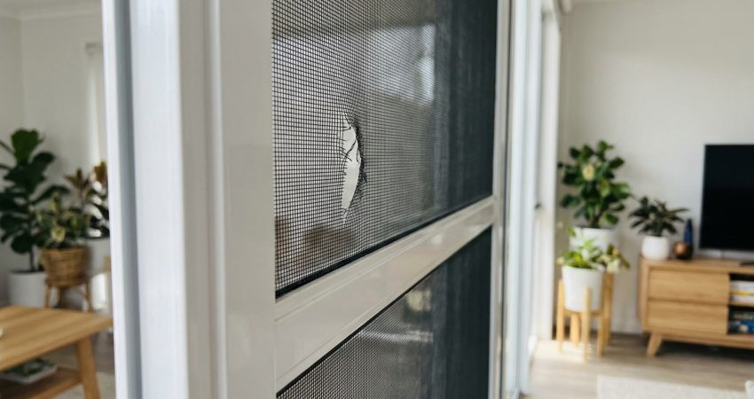 Roztrhnutá sieťka na okno: kedy ju opraviť a kedy vymeniť